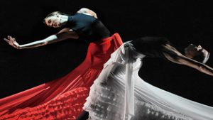 15-flamenco