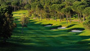 22-golf